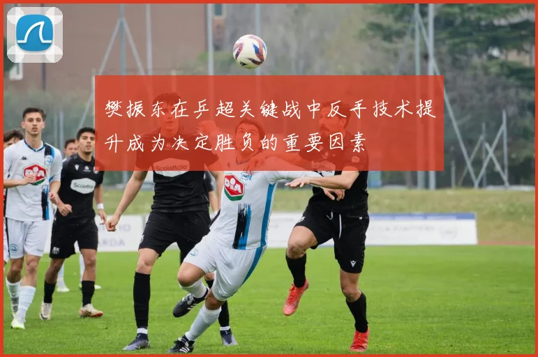 樊振东在乒超关键战中反手技术提升成为决定胜负的重要因素