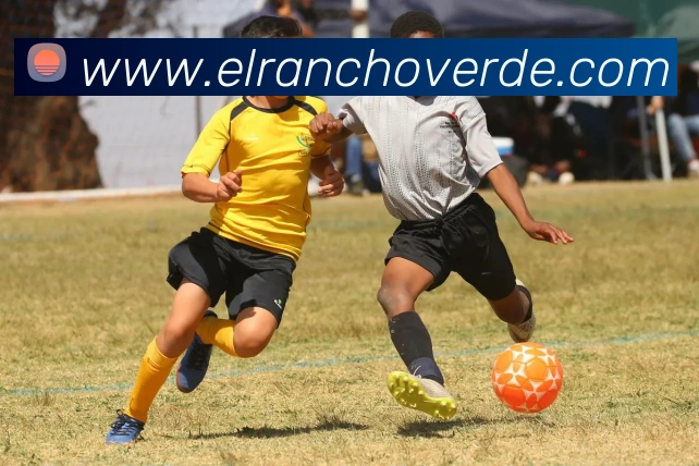 战术演练